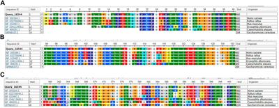 Hereditary orotic aciduria identified by newborn screening